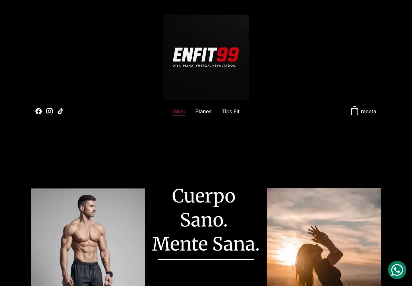 Sitio web de EnFit69 en escritorio — Planes de entrenamiento y nutrición personalizados